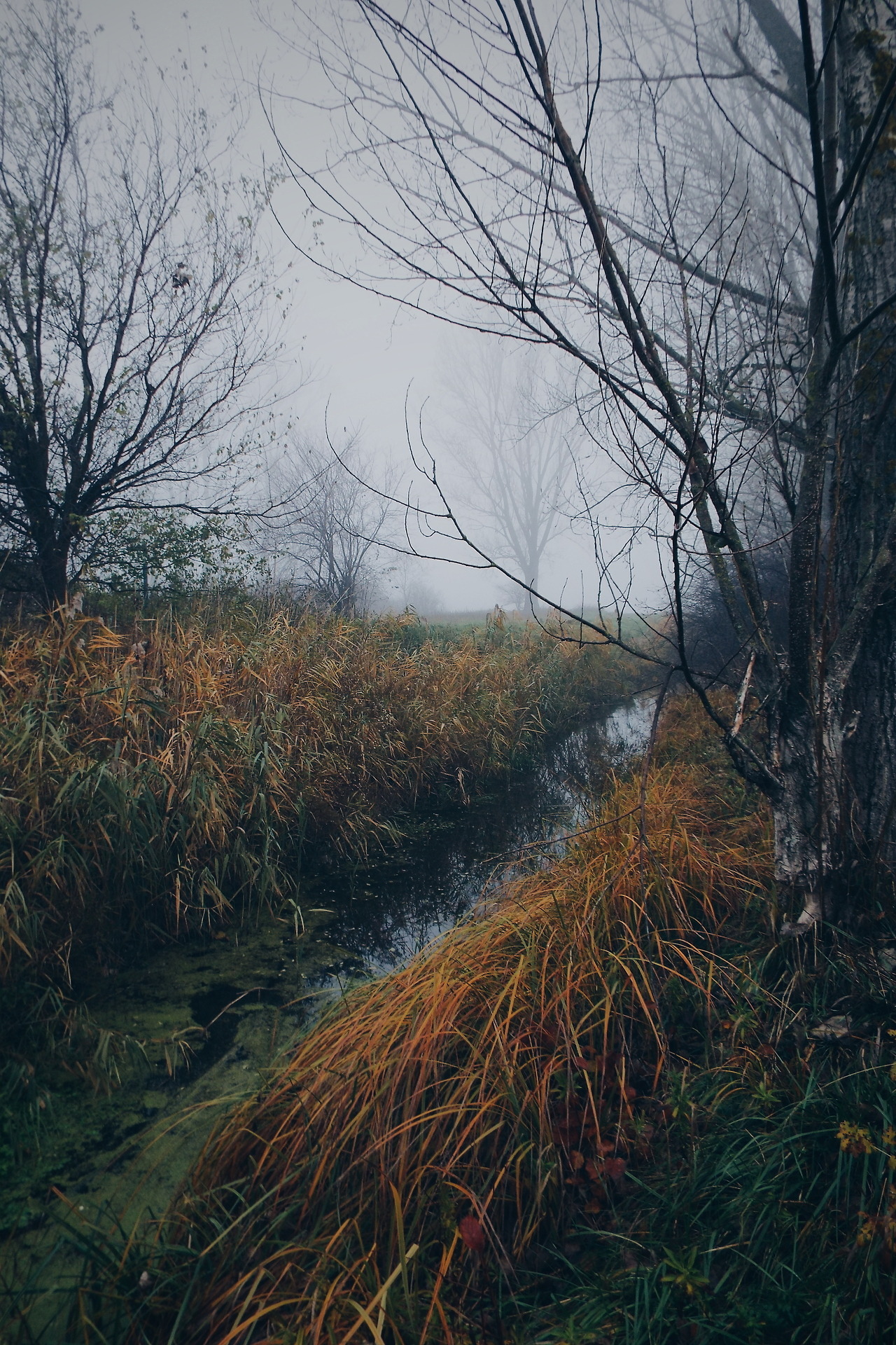 nikolapov: These moody mornings 😍🤤  www.instagram.com/nikola.pov 