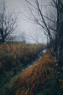 nikolapov: These moody mornings 😍🤤