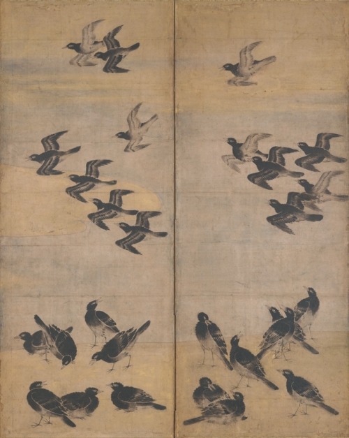 Mori Sosen, Stag amid Autumn Flowers, detail of a Hanging Scroll, before 1807. 2 Maruyama Ōkyo, Two 
