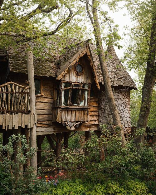 Treehouse In Sussex, England Byjameslloydcole