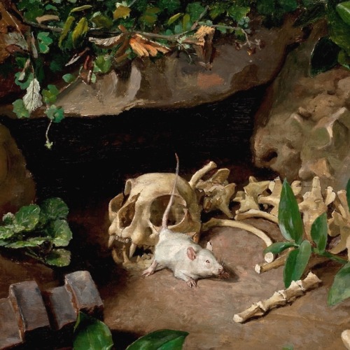 A moro muerto, gran lanzada - Bernardo Ferrandiz y Badenes - 1881 - via Museo del Prado
