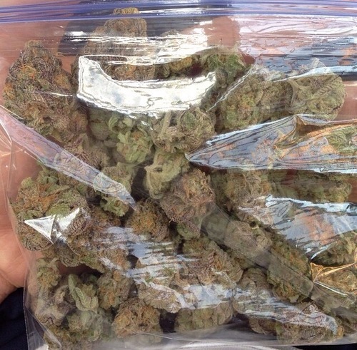 weed-holic:let’s get high together