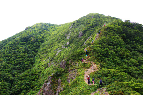 20200802（土）夜叉ヶ池（池の標高1,099m、別名「雨乞いの池」、福井県南越前町岩佐）登山。越前国南条郡池ノ上に住む豪農の弥平次が干ばつのため、池の主の大蛇に「田に水を入れてくれるのなら自分の