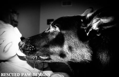 A little about me and Rescued Paw Designs.