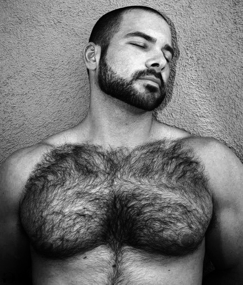 glutenmartn:bigianh:  Tits. Big hairy tits.  what a nice chest with hair so it would go through with my hands or tongue