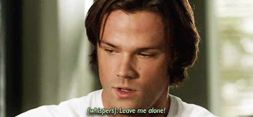 savingpeoplegiffingthings:  5.12 // Swap Meat