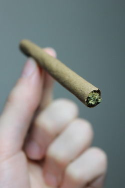 errlgrl:  purloiner:  Grape Dutch Masters blunt.  your photos are always on point 