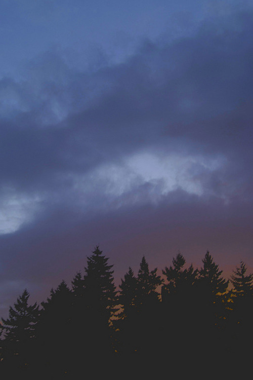 c1tylight5:  Sunset over Puget Sound (by Alesha A.B.)         