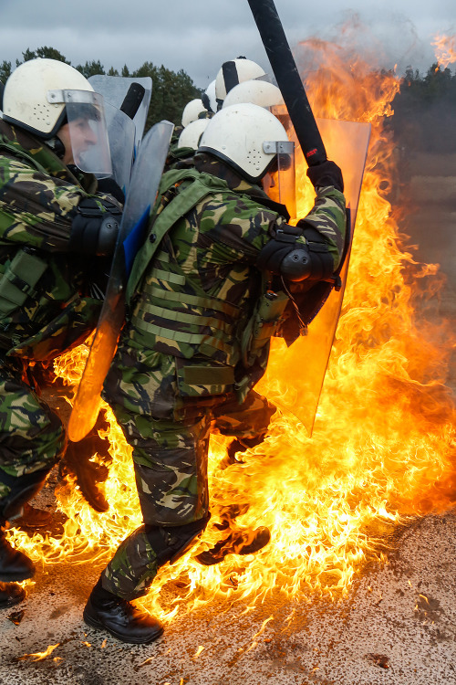 set da pussy boi on fire.