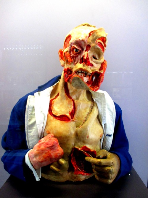 rodolphe-gauthier: Mannequin - Royal College of Surgeons - London