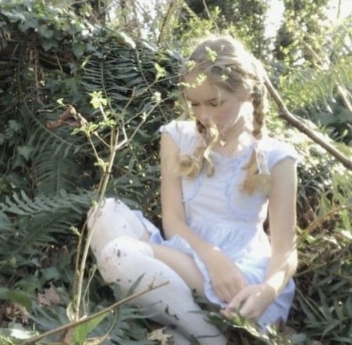 dreamie-dolli