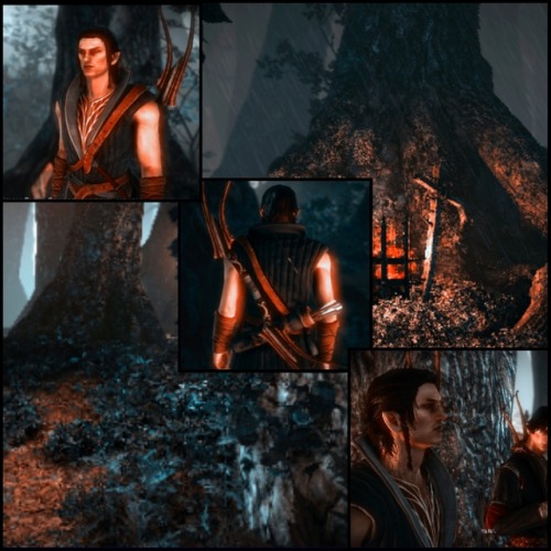 ilveswoed - Ilves