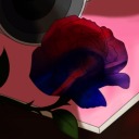 marbled-roses-au avatar