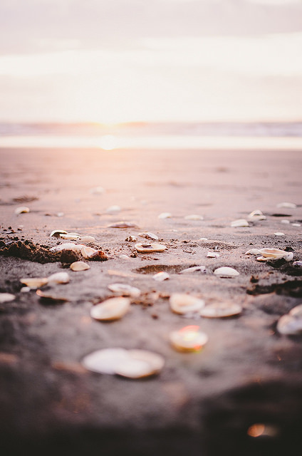 floralls:  New Zealand by DeepLovePhotography   