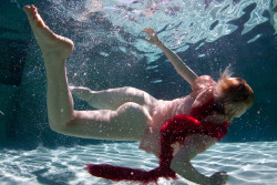 openbooks:  Pam swims.  Hollywood Hills,