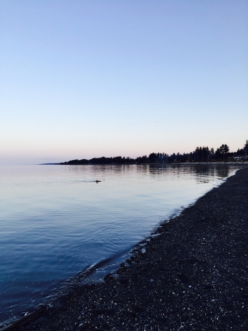 ramimaleks:  beautiful british columbia (no filter ❤️)