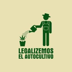 kingstone13:  legalizemos el autocultivo