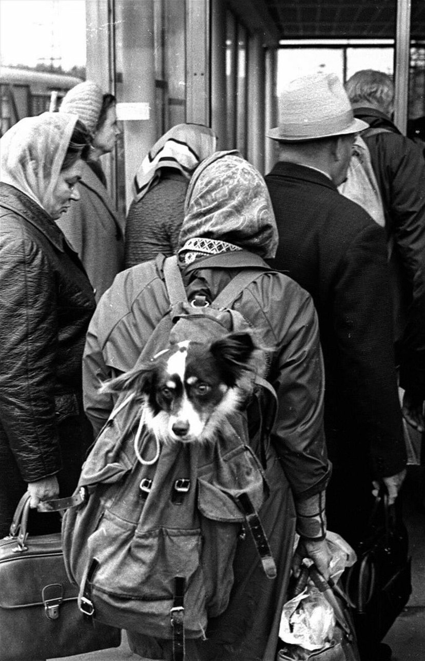 Photo by Vladimir Bogdanov (1980s)