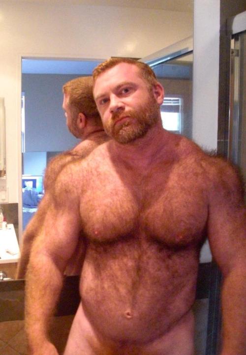 fhabhotdamncobs: thickbear475: dutchbear74: I just love ginger bears #gingerbear RED~! W♂♂F     (