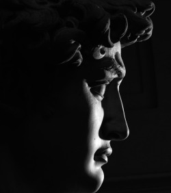 xerces13:  Michelangelo  David in details