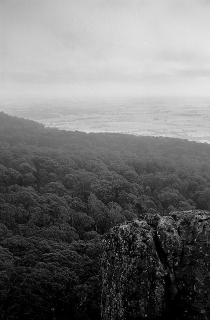 Mt Macedon on Flickr.
Fujinon GW690ii
Fuji Acros 100
Ilford DD-X 1:9 12min