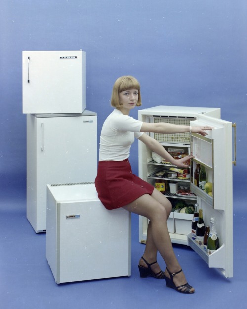 scavengedluxury:Refrigerator advert, 1977.