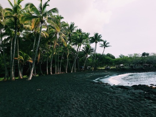 Honeymoon: Punalu'u Beach 3•6•17