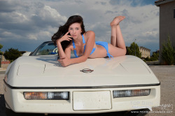 chicksoncars:Surfer Girl on White Corvette