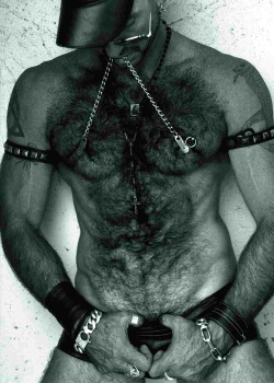 This guy just drips sex with the hairy body and clamped nipples! WOOF!