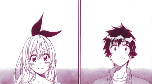 ayame-waffuru: Nisekoi Chapter 229 “Zawsze in love” - Raku and Chitoge