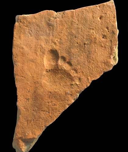A Roman tile with a child’s footprint. The soft tile had been left on on ground prior to firin