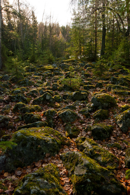 paganroots: Finland by Pelts