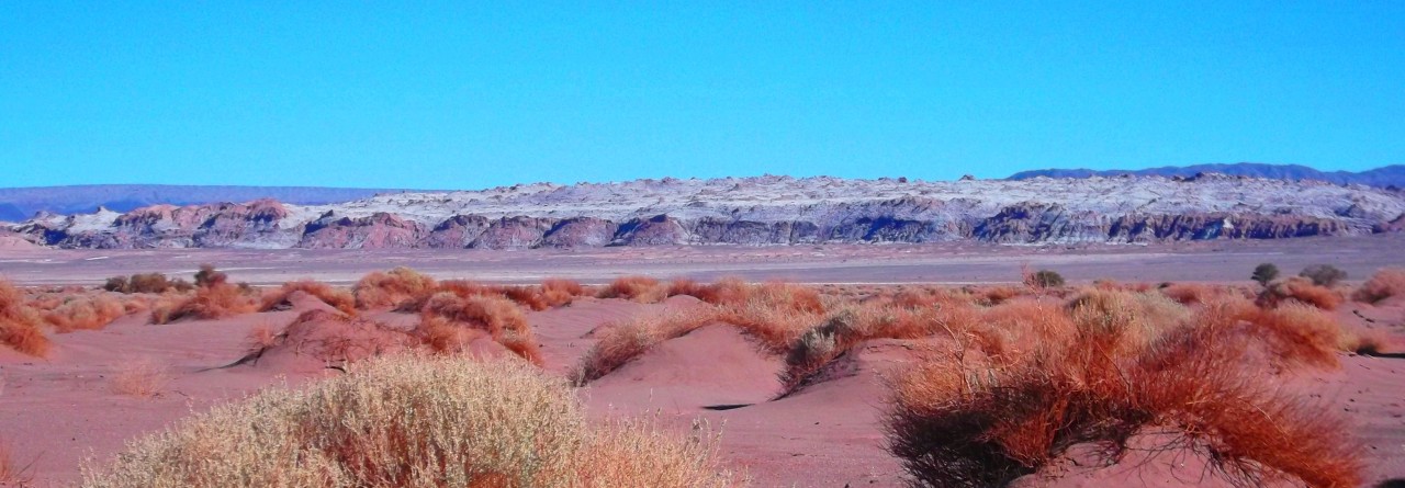 kusta-astronaut:  Desierto de Atacama, Junio 2015 - CHILE 