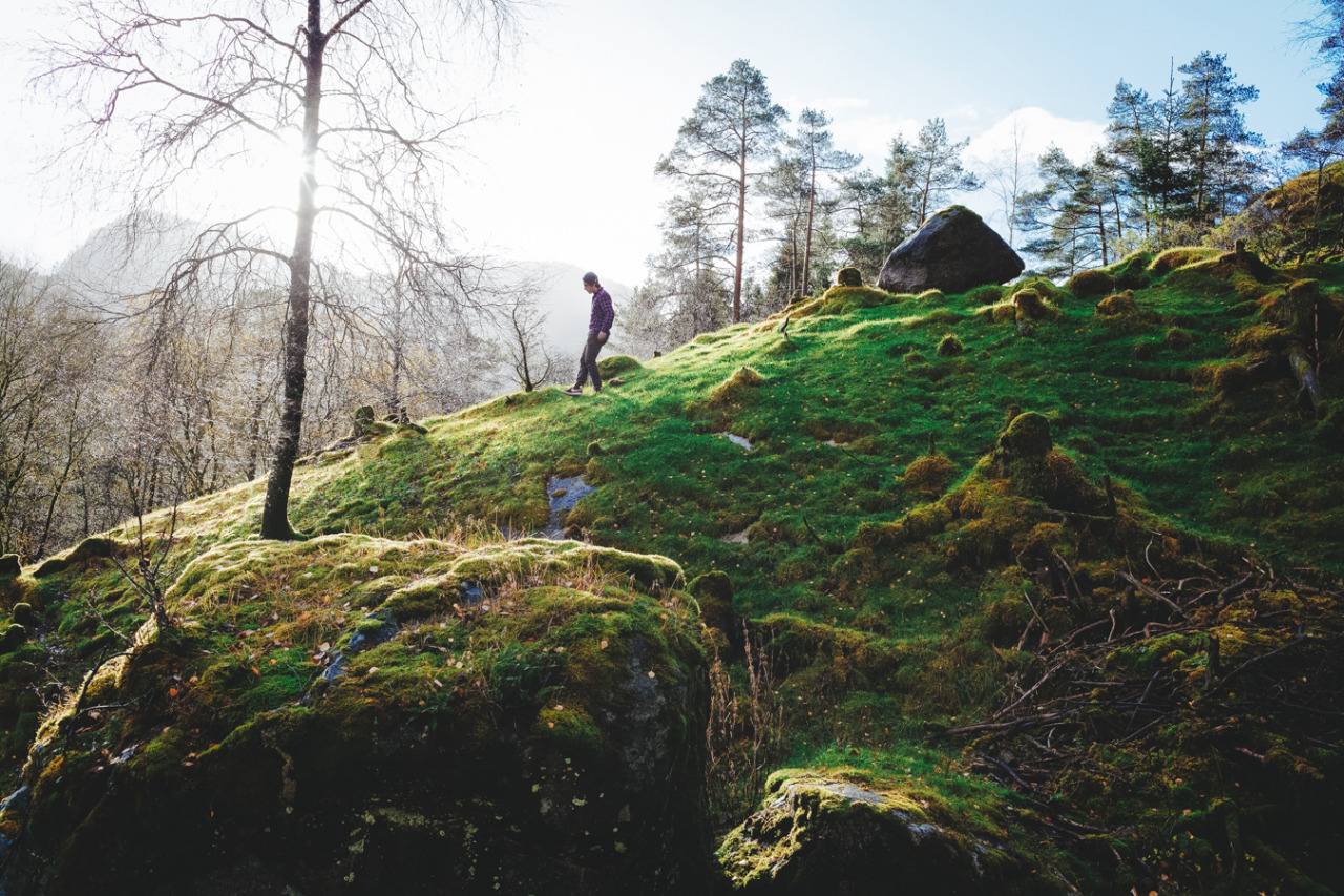 alexstrohl:  Fjords of NorwayWith BuchowskiMore on alexstrohl.com 
