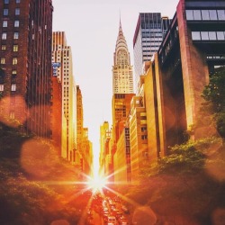 nythroughthelens:  Manhattanhenge. New York