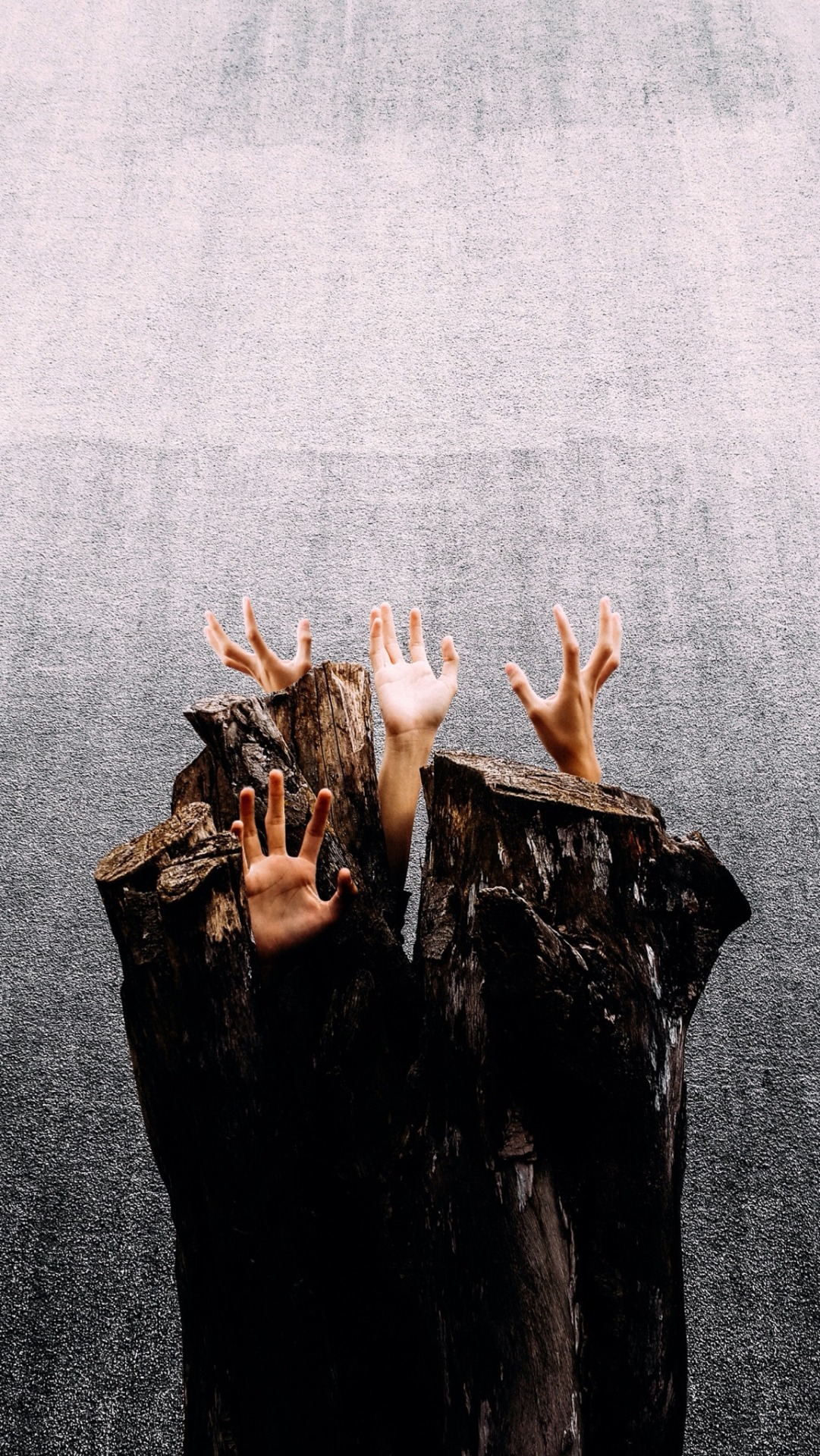 danielodowd:  B U C H H A L T E R