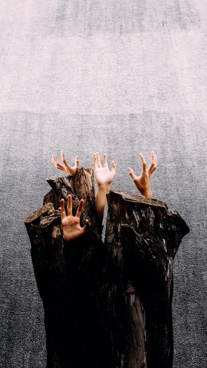 danielodowd:  B U C H H A L T E R