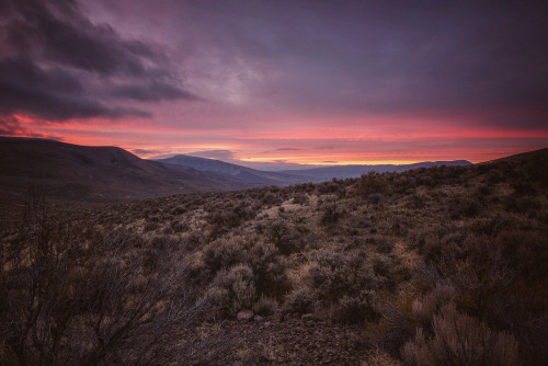 Sherbet in the desert by Marcus Klotz