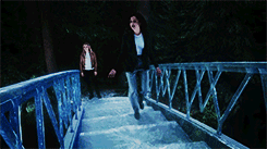 n3v3r-mnd-deactivated20150302:  SwanQueen -Bridges 