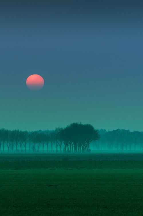 obscvred:  Source | Photographer 