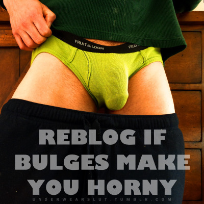 yes-i-am-a-faggot:I totally love the sight of a spectacular manly bulge.