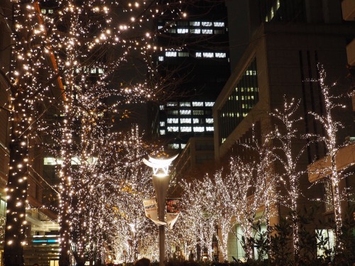 24.12.16 illumation lights on christmas eve at 丸の内 by iseki kou | ig