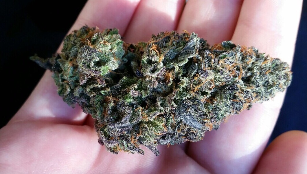 sativa-mermaid:  Purple Cookies 😈