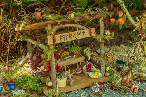 throughmonstrouseyes: The Fairy Market. At the Milner Gardens Fairy event, Qualicum Beach.   © Irene P., 2017.   