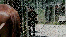 The Walking Dead gifs