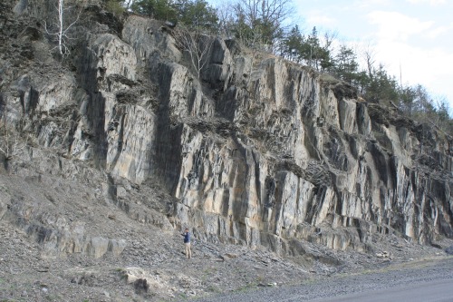 Metamorphic overprintingThis outcrop of the Esopus shale in New York State shows a really neat devel