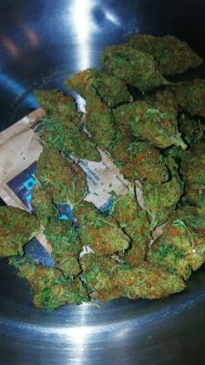 marcstonedagain:  how to grow weed