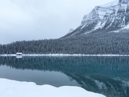 thechroniclesofdust:Just some iPhone shots from Banff I haven’t shared.