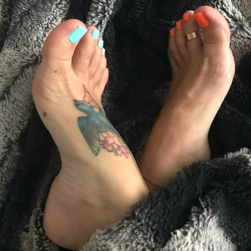 Porn foot lover photos