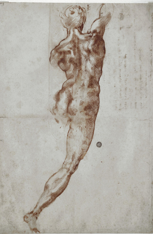 michelangelogallery: Michelangelo Figure Drawing